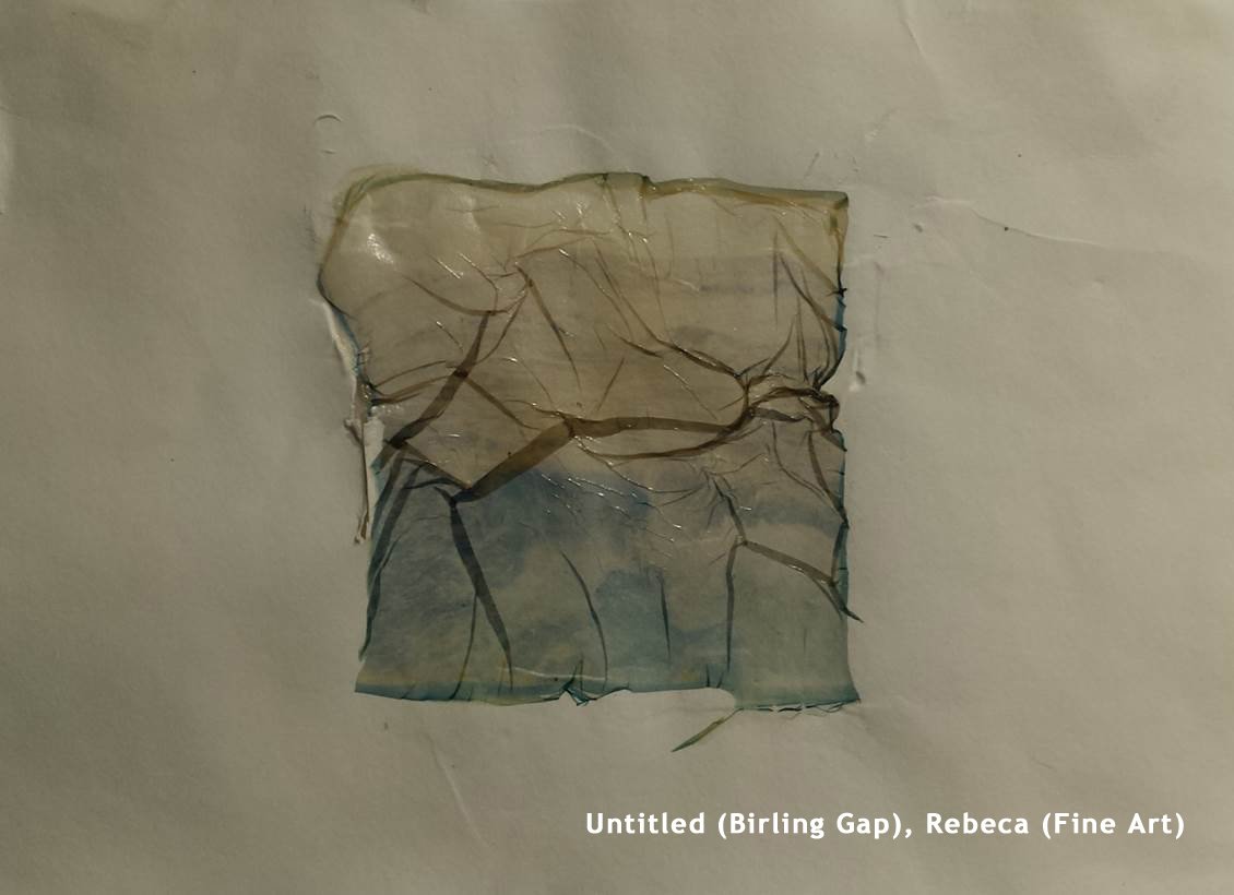 _LaraBand's tweet photo. The erosion caught their imagination, the receding coastline, the diminishing number of coastguards cottages. A guided walk isn't radical but it worked, several pieces inspired by that trip #cifa2019 5/13 https://t.co/CJHcovBSDp