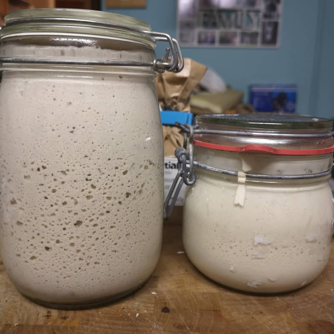 JoeParke8's tweet photo. Photos 4 hours apart. Right is Eve, white flour sourdough starter. Left is Star, my teff &amp; coconut flour gluten-free sourdough starter. Healthy little babies! Happy! 
#sourdough #realbread #slowbread #realflavour #sourdoughbaker #starter #mother #poolish #teffflour #coconutflour https://t.co/jDkLbjhapq