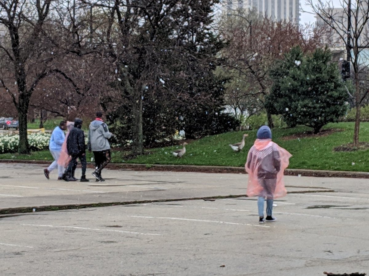 dbild's tweet photo. A little snow couldn't stop the @NatureMuseum @AftrSchoolMttrs #CASteens from getting out to participate in the @inaturalist #CityNatureChallenge... #TrueChicagoans https://t.co/nh60s5yFdo