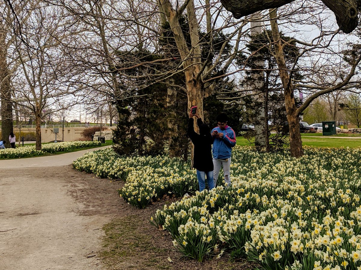 A little snow couldn't stop the <a href="/NatureMuseum/">Peggy Notebaert Nature Museum</a> <a href="/AftrSchoolMttrs/">After School Matters</a> #CASteens from getting out to participate in the <a href="/inaturalist/">iNaturalist</a> #CityNatureChallenge... #TrueChicagoans
