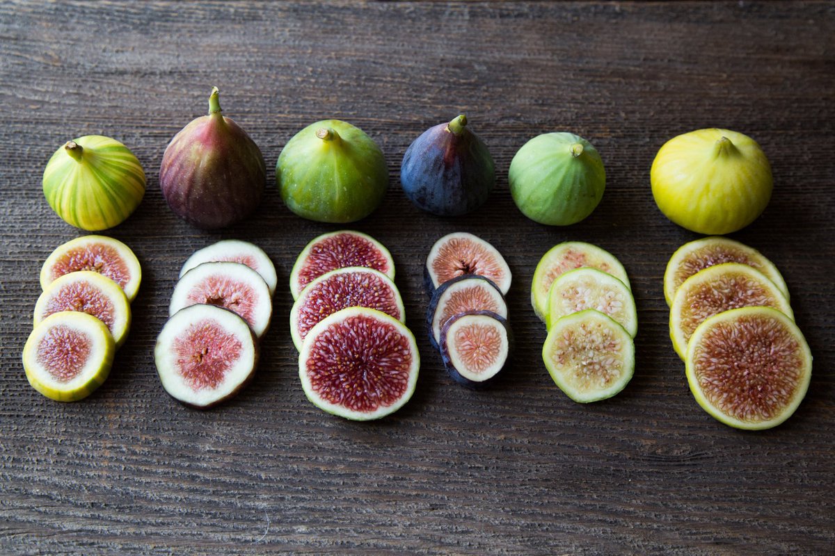 With names like Brown turkey how can u not love figs! Tune in at 1040am for my walnut dressed grilled fig salad.    <a href="/NewstalkZB/">Newstalk ZB</a> #goodfromscratch