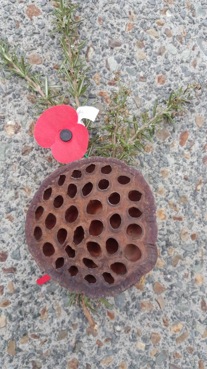 Hopefully we have emerged from the dark to be more spiritually enlightened.