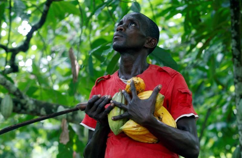 thecocoapost's tweet image. Ghana Rejects IMF Advice to Slash Cocoa Producer Price
#sustainablecocoa #cocoaprice #cocoapost #allnewscocoa cocoapost.home.blog/2019/04/27/gha…