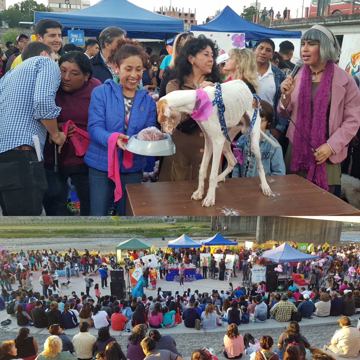 gonzalo_ortega's tweet photo. Hoy la #DipProv @vickylunaok estuvo presente en la gran #Perroton que se realizo en el #ParqueXibiXibi organizado por la @munissdejujuy https://t.co/2VAtkZBBGO