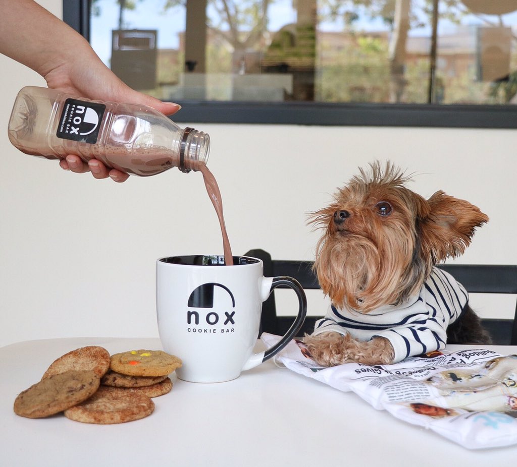 noxcookiebar's tweet photo. Nox had the sweetest visitor today!! 🥰🍪🐶 we adore you @napatheyorkie .
.
.
.
.
#noxcookiebar #napatheyorkie #yorkiesoftwitter #sanjose #DTSJ #downtownsanjose #napa #yorkies #yorkiepost #cookies #cookiepost #dessertpost #chocolatemilk #chocolatechip https://t.co/V0fPU4fXP7