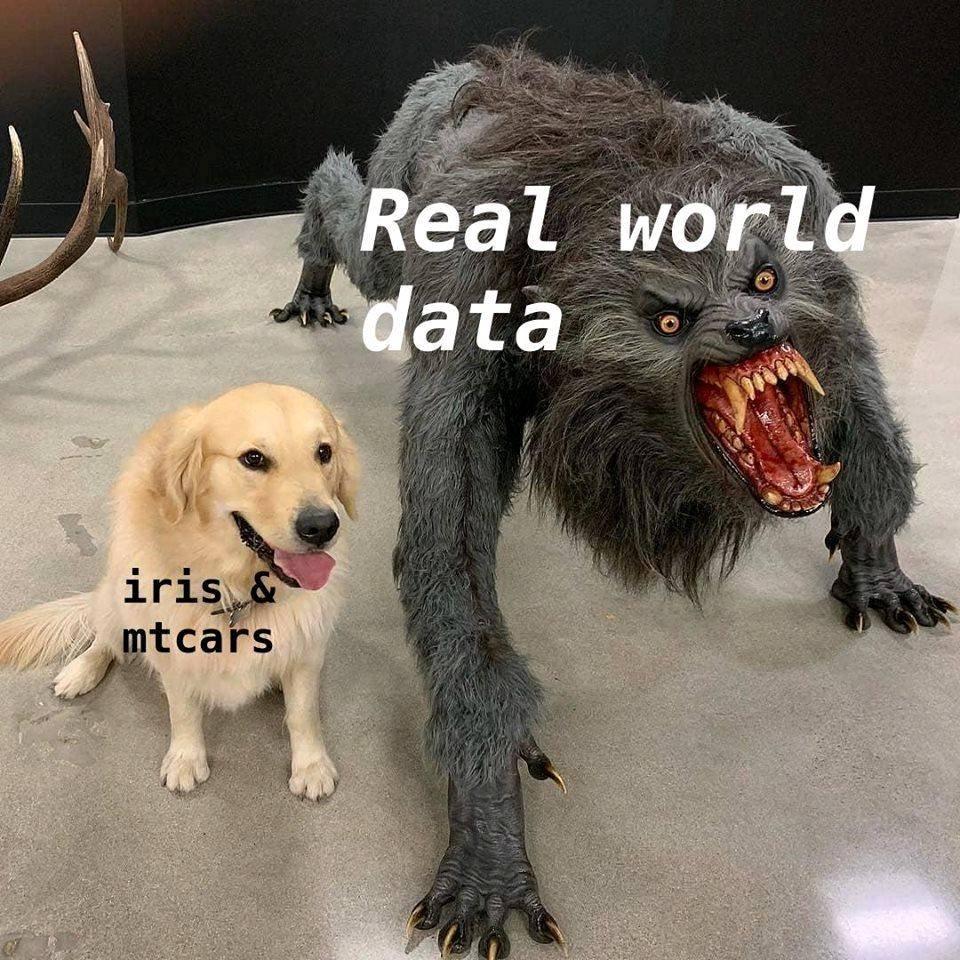 AdamGruer's tweet photo. this,  when you feed iris and mtcars in the bath after midnight . or you know just arrive at work on Monday. #rstats via @rstatsmemes FB https://t.co/PzqXSJo7TK