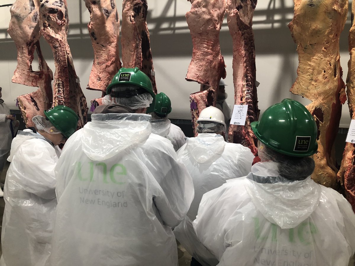 PeteMcGil's tweet image. @UniNewEngland are the inaugural Champions for #ICMJNorth competition! Plus Alastair Scott took out champion individual #soproud @ausmeatjudging Thanks @TeysAustralia and @CQUni for making this conference a reality!