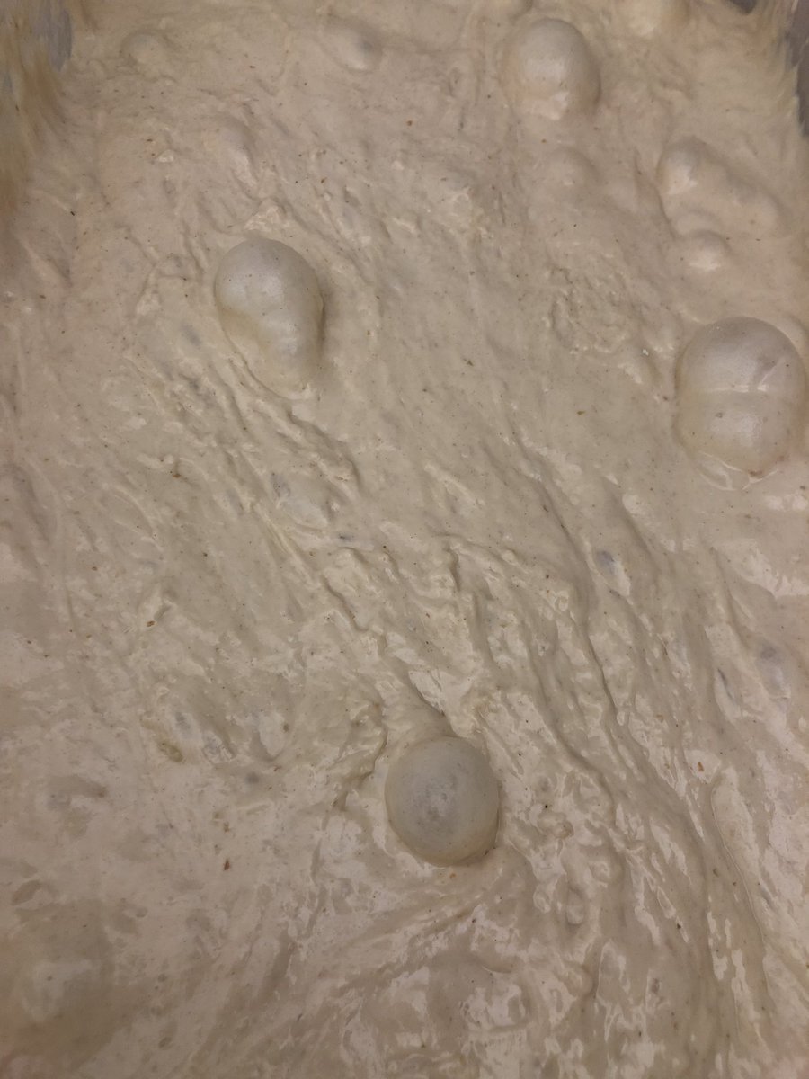 ChefConsultant's tweet photo. Today, first time I’ve made sourdough the way my grandmother did.
There is no folding, there is no six minutes for wheat flour or three minutes for rye flour dough.
It’s so simple.
There are no books for this sh&t, you just earn it
#PolishBread https://t.co/WIPnPalnhg