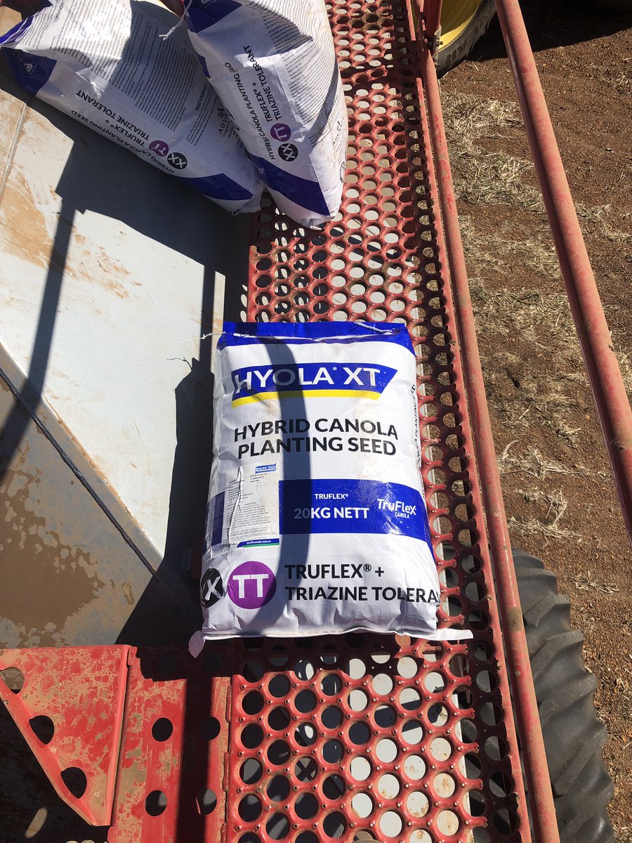 JarrodClarke7's tweet photo. Keen to get some of this in the ground and give it a go #530XT #Trueflex @PacificSeeds https://t.co/snUZuw3M52