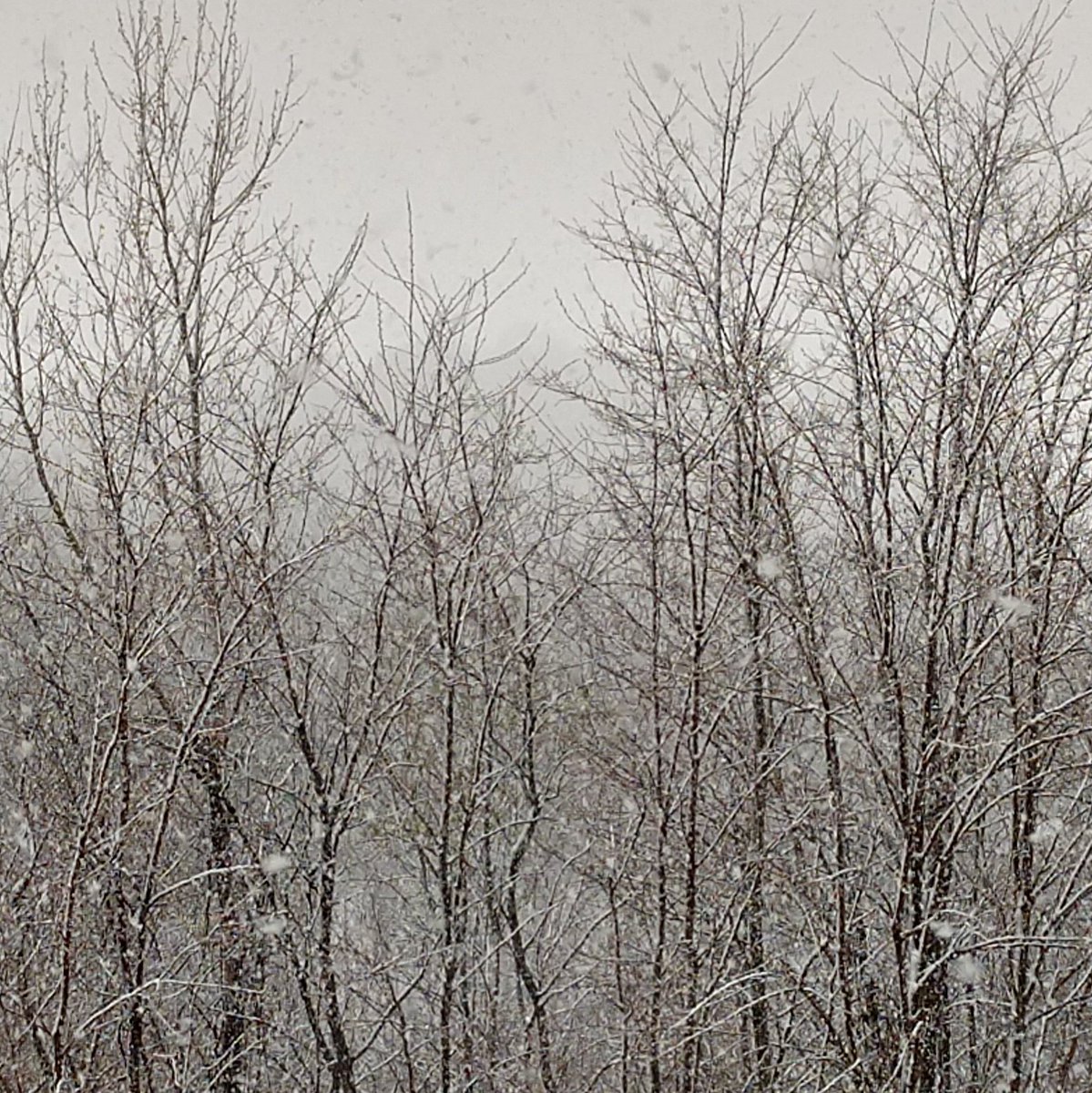 Lovely weekend at The Irish Cottage, even though this is our current view! Duo starts at 7pm tonight!! <a href="/frankodowds/">Frank O'Dowd</a> #hearthfireband #livemusic #galenaillinois