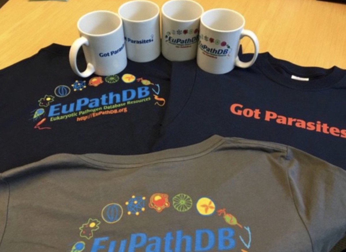 veupathdb's tweet image. Another. Great #usercomment added to #TriTrypDB #KMCB2019 : Interactome by cryo-mill/affinity purification mass spectrometry (PABP1 and PABP2) tritrypdb.org/tritrypdb/app/…