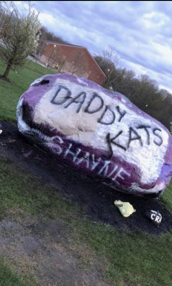 Dramma Cats... I mean Momma Cats has now been defeated. #DaddyKats