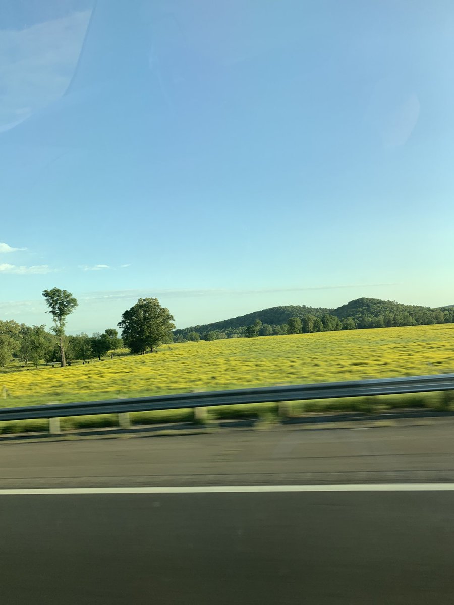 coachdeesmith's tweet image. Arkansas is beautiful