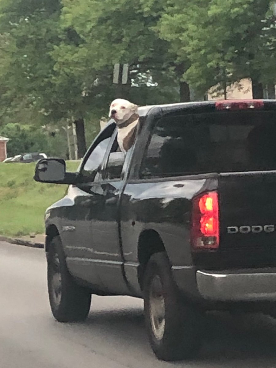 ThursMorningQB's tweet photo. ⁦@RonnieKaram⁩ what’s Bueller doing in Kentucky? 🤔 #crappens #watchwhatcrappens ⁦@BenMandelker⁩ https://t.co/haLpc1qQkf