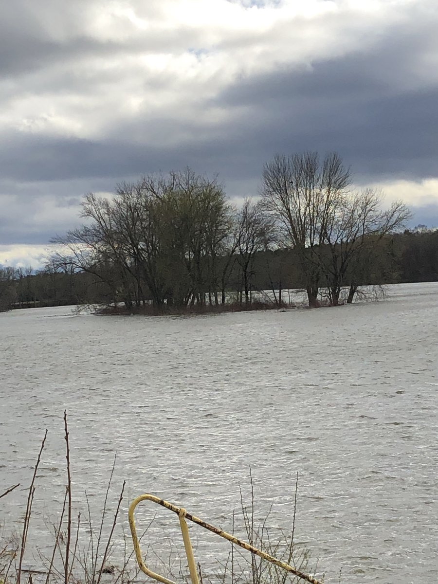 Backwaterguide's tweet image. Hey friends. If this freakin rain ever stops we may be able to start fishing up here in NY. The river is 6’ high and rippin.