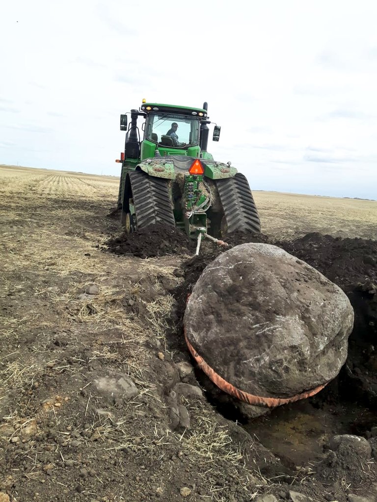 BruceFarming's tweet photo. Found a small one https://t.co/DXUdy4YsEg