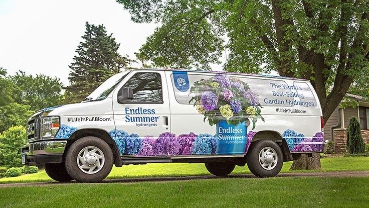 NurseryMag's tweet image. .@ESHydrangeas is hitting the road again. The @BaileyNurseries brand will embark on a 10-city road trip to educate and excite consumers about its collection of reblooming hydrangeas. #nurserymag #hydrangeas buff.ly/2ZG7CeW