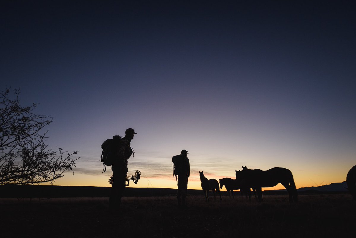 An early morning meeting with the locals. Location | Arizona Photo | Jordan Gill #mathews