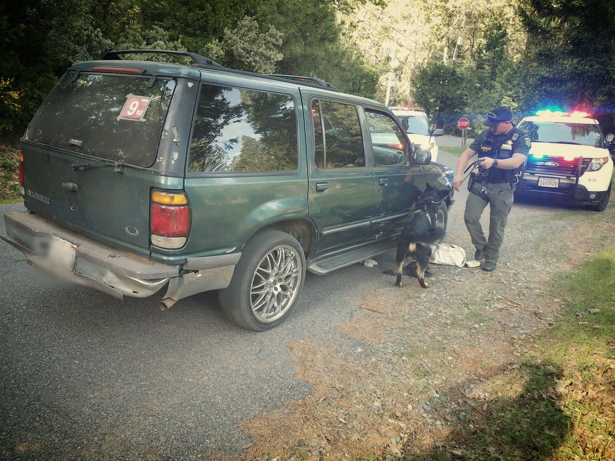edsod761's tweet photo. #EDSO Deputies with the assistance of @canine_apollo arrested a wanted fugitive in the Georgetown area of El Dorado County. The suspect and his passenger had multiple outstanding warrants and had been on the run for over a month!! #nightwatchnation #canthide #K9  #felony https://t.co/7QI4J13UHe