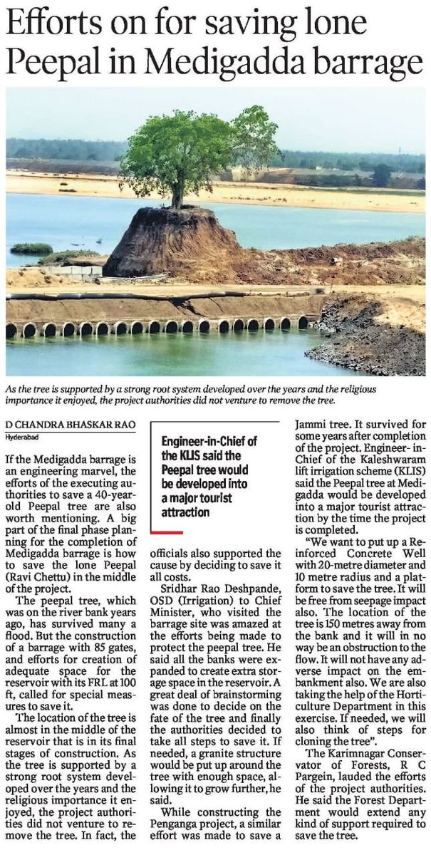 ras906359's tweet photo. The concern for saving this tree is well appreciated but it can not survive in situ in such a big reservoir. We will take steps to relocate it with the help of experts to a safer place. https://t.co/Z6cjXF9goO