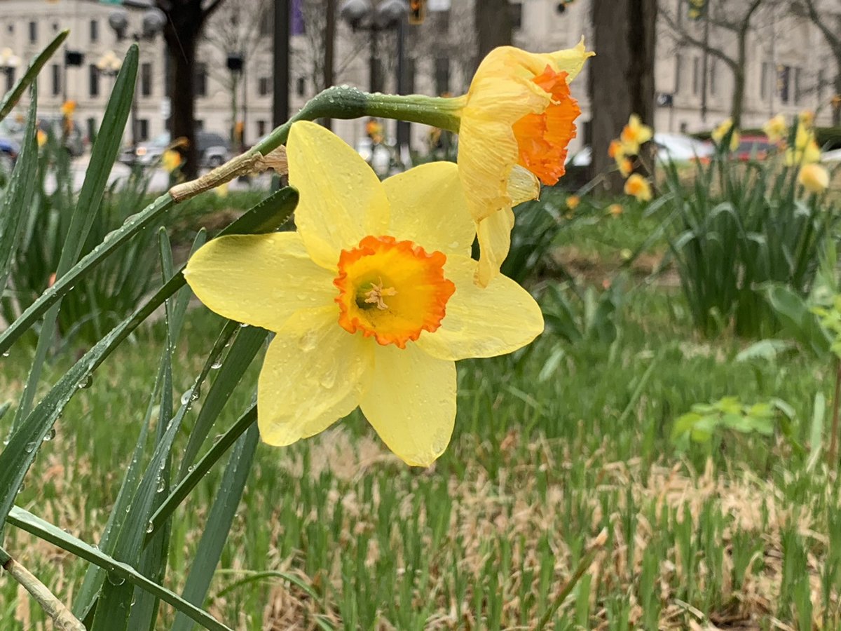 Spring has finally sprung in the Midwest. Although it was a very dreary, and chilly day we managed to check out <a href="/GoGeocaching/">Geocaching</a>’s new Adventure Lab app in Fort Wayne, Indiana. The tour lead is to interesting, and beautiful places. #geocaching #labcache #GoGeocaching #geocache