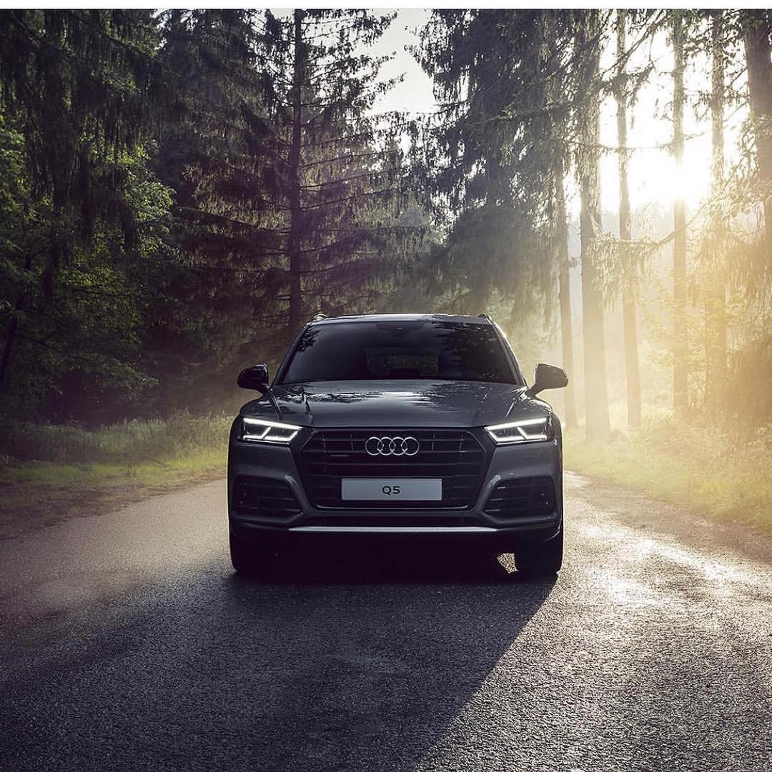 Audi в лесу