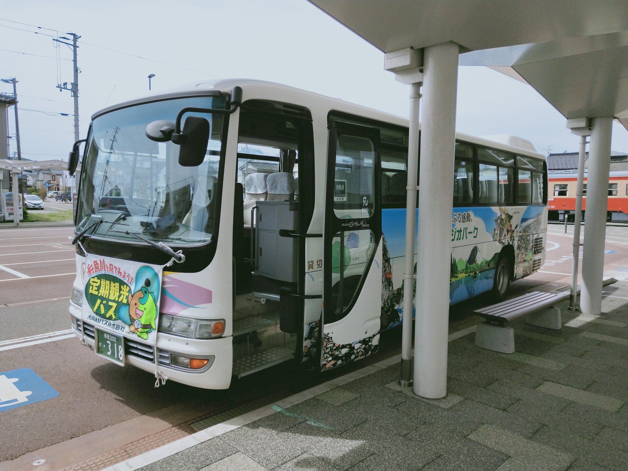 【糸魚川真柏】 値下げ交渉⭕️ 糸魚川真柏 値下げ交渉⭕️