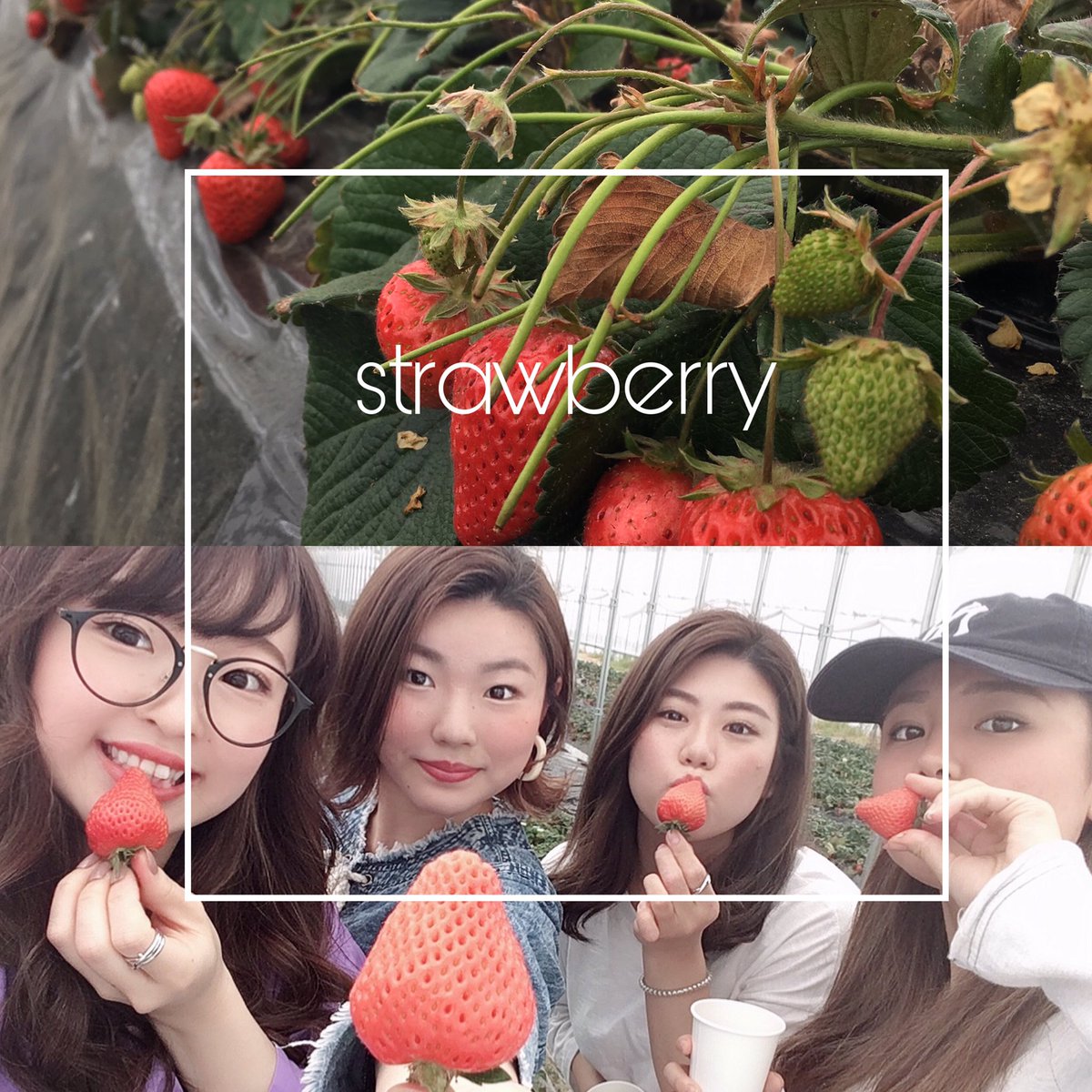 kaeden0's tweet photo. 2019.04.21
🍓→🚗→🐟 https://t.co/PY09Dt8jPL