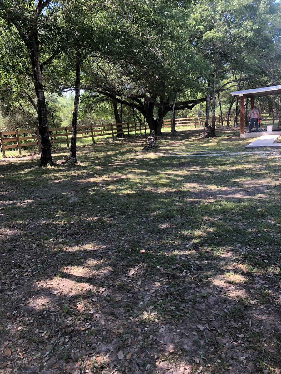 TCombs50's tweet photo. Pushed myself further than I have in a long time today but the house looks wayyyy different. Mowed a bunch of grass, hauled a bunch of wood, axed a bunch of stumps. Ready to move in! #MoveInReady #NotAfraidofWork #PC https://t.co/ABeaFwrLAK