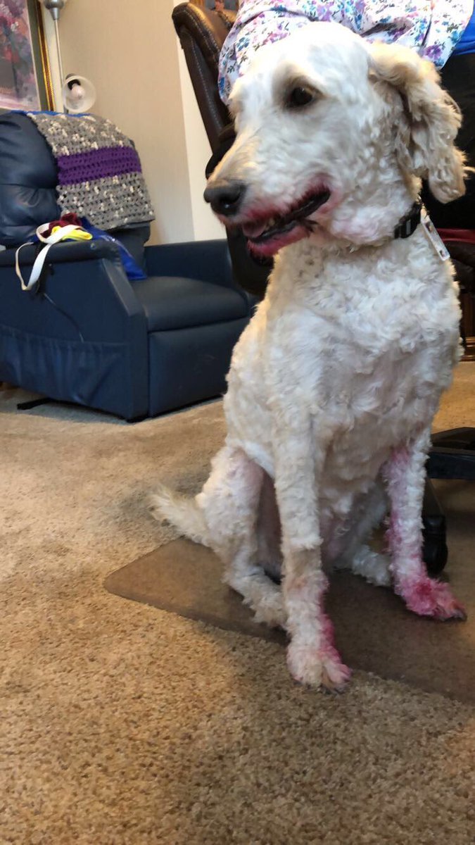 tabetha_deines's tweet photo. @CodyMcDaddy She found grandma’s lipstick and... https://t.co/5HuZvqHhf7