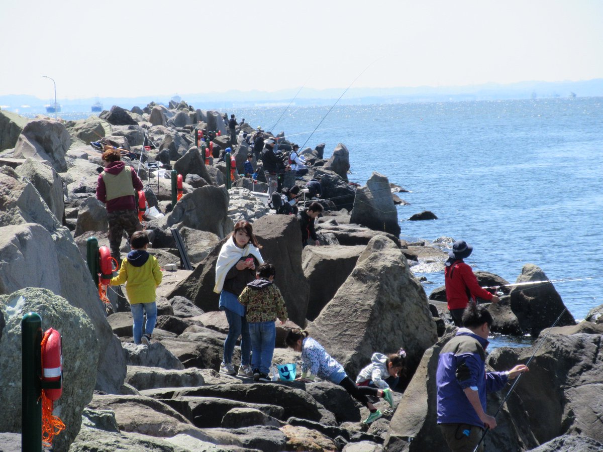 若洲海浜公園 公式 海釣り施設の状況ですが本日午前10時頃は300人近くの方がいらっしゃいました 昨日は天候にも恵まれず 少し寂しい印象を受けましたが 本日は大変賑わっているご様子です 写真は海釣り施設と人口磯です T Co Gykya19rou