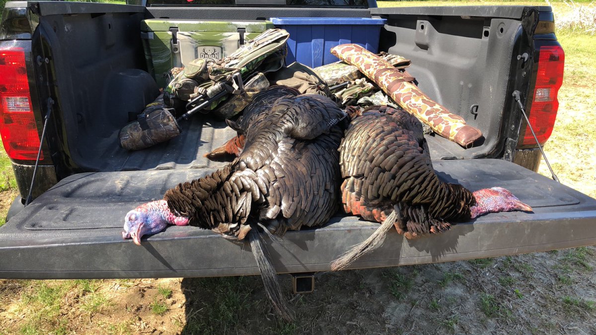 TheDuder8's tweet photo. Unreal experience today.   All tagged out in #Maryland  #turkeyHunting #nwtf https://t.co/wYDTKXFmRB