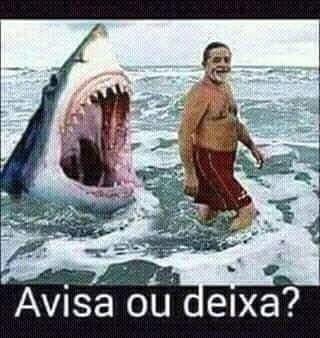 AntoniaMariaLe1's tweet photo. AVISA OU DEIXA? https://t.co/6hlVAs7RoL