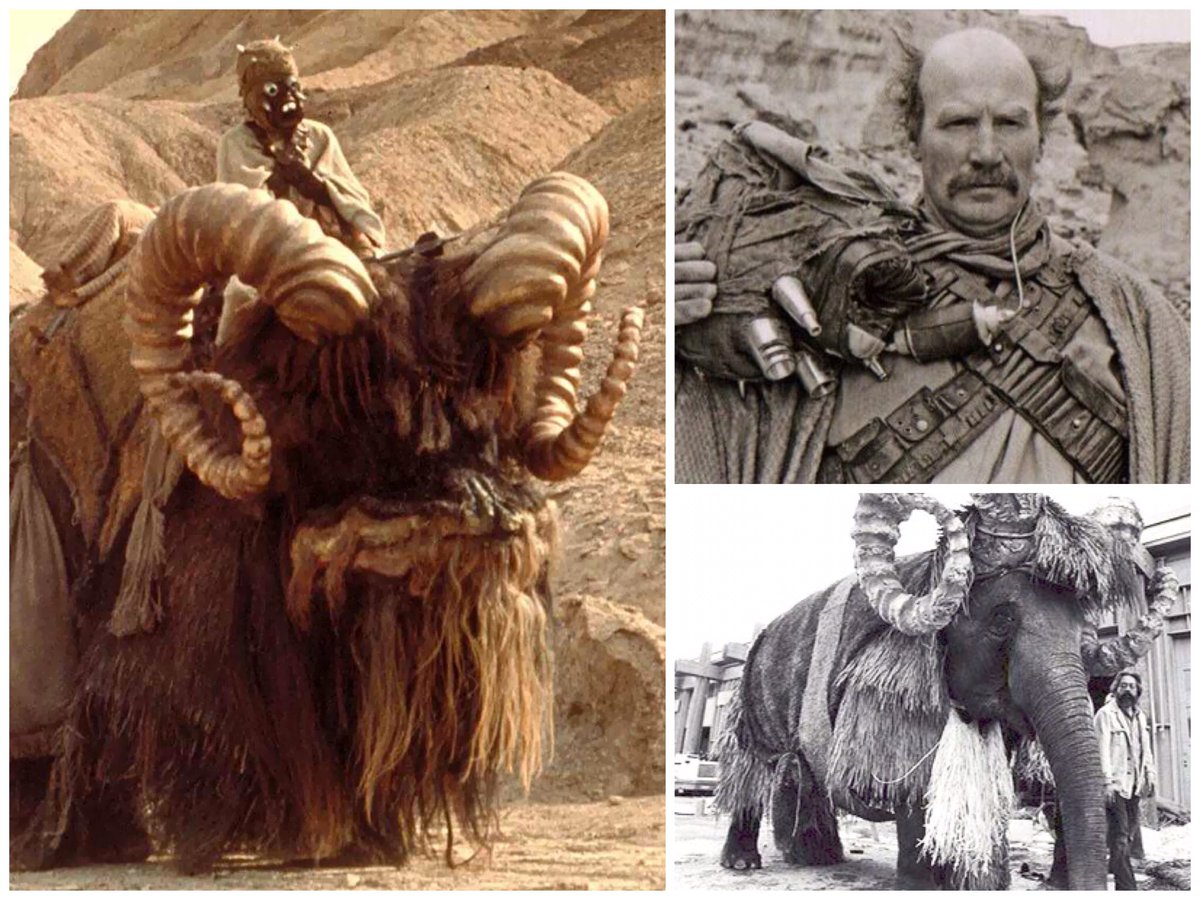 本日4月28日は「象の日」！ 『スター・ウォーズ』のバンサの正体が象