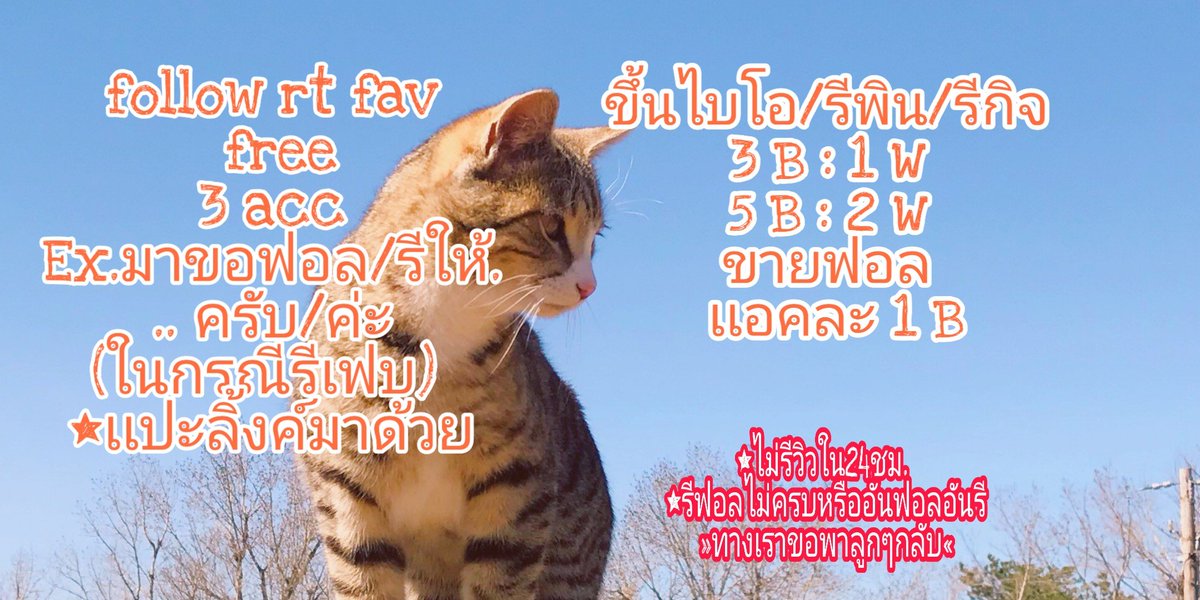 ฟอลฟรีน้องผักโขม-ฟอลไบโอ The Flash+ tweet media
