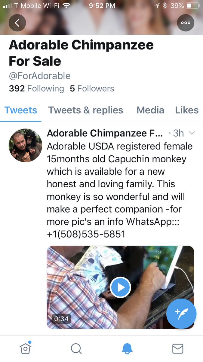 tathkra__'s tweet image. Is this real?! #primatesarenotpets