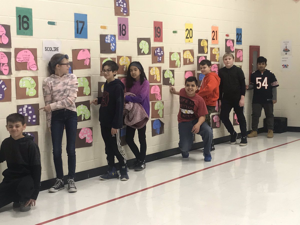MBekkedal's tweet photo. Stone students learn about the brain parts and their function in this Health project. https://t.co/1d4TOlPgNX