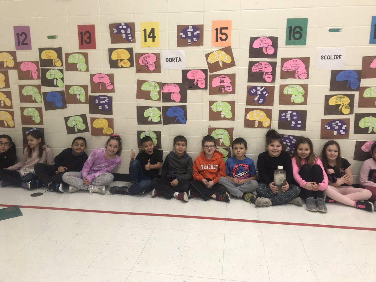 MBekkedal's tweet photo. Stone students learn about the brain parts and their function in this Health project. https://t.co/1d4TOlPgNX