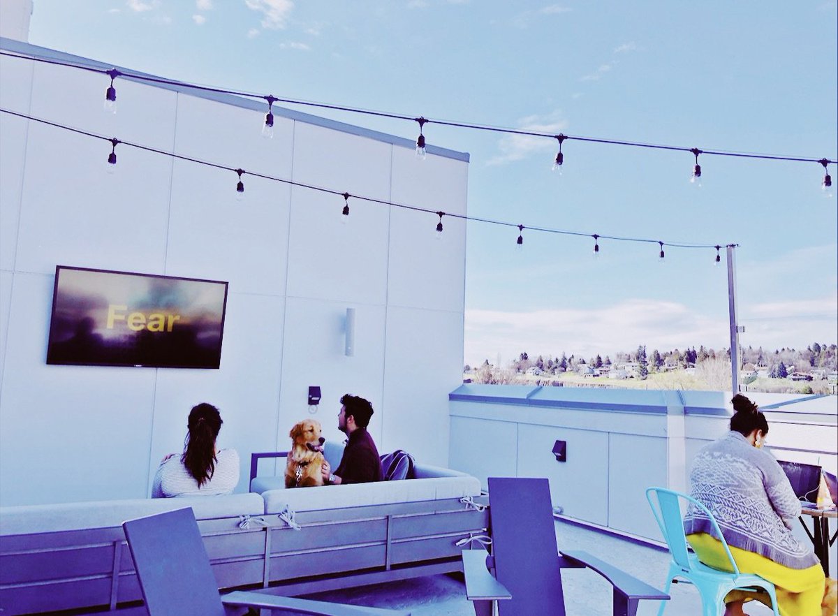 evolveonmain's tweet image. We love seeing our resident using our various amenities even during crunch time. ☀️📺What a perfect place to call home for Fall 2019! 🏠 #liveevolve #evolveonmain #rooftoplounge #studyinthesun #sunnyday