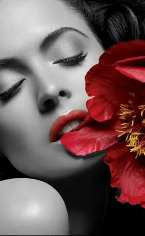 🖤🖤🖤Good Night To You...❤❤🌹🌹Roses Time🌹🌹
