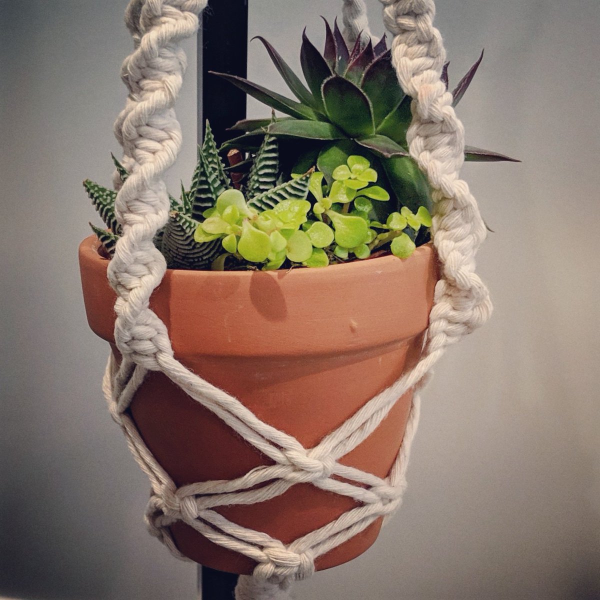 Angelangoble's tweet photo. #macrame https://t.co/3SWohYN6LY