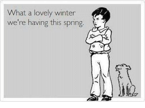 Jr_Rebels's tweet photo. Stay safe and warm this weekend! 

#yycweather
#goawaysnow https://t.co/1KhEhCyJV0