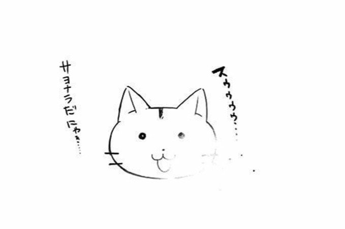 13/13 