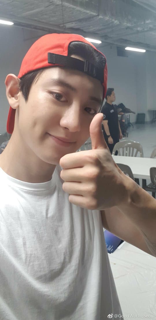 VickyWikyEXOL tweet picture
