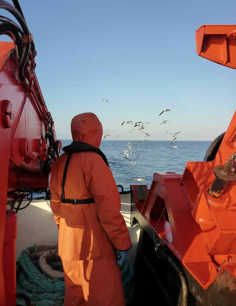 GEOMAR_en's tweet photo. Why is #BalticCod getting thinner? The team of expedition #AL521 with #RV_ALKOR wants to find answers to this and several other questions around one of the key species in the #BalticSea. Read more in the blog: https://t.co/4g7ZjAGMGW @SyddanskUniv https://t.co/3V2TPRFJsy