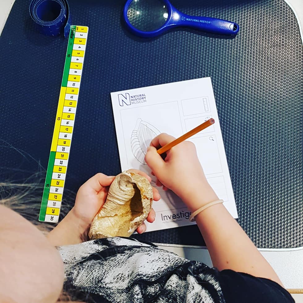 Lucyyamaha's tweet photo. Having an amazing time at #dawnasaurs this morning @NHM_London is her favourite place on earth. #Autism #Mini_Naturalist #RangerStu https://t.co/NS5d3m7djA