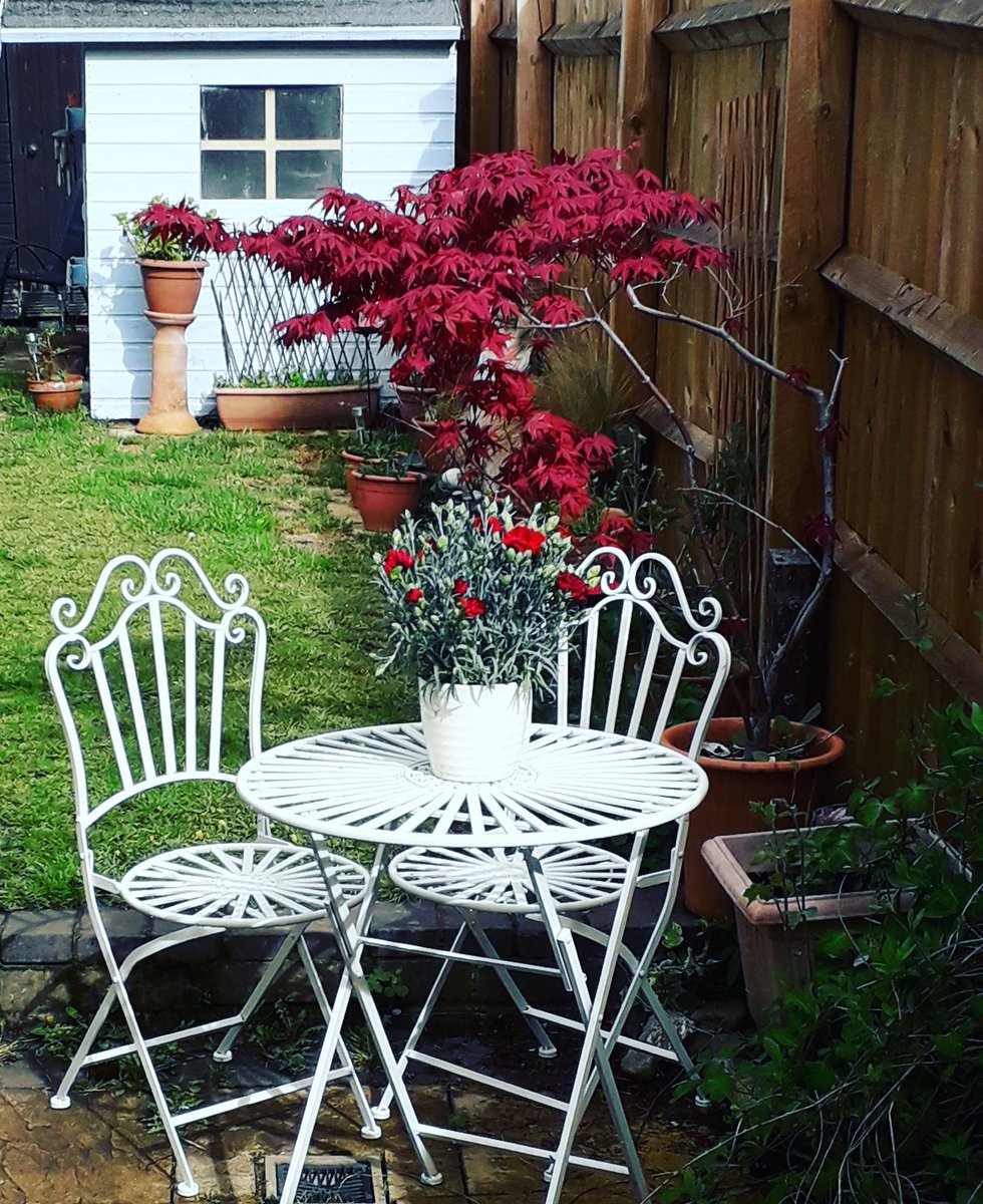JaneIsaacAuthor's tweet photo. Love this time of year. #SpringTime #somuchpromise https://t.co/FRjh84XCqN
