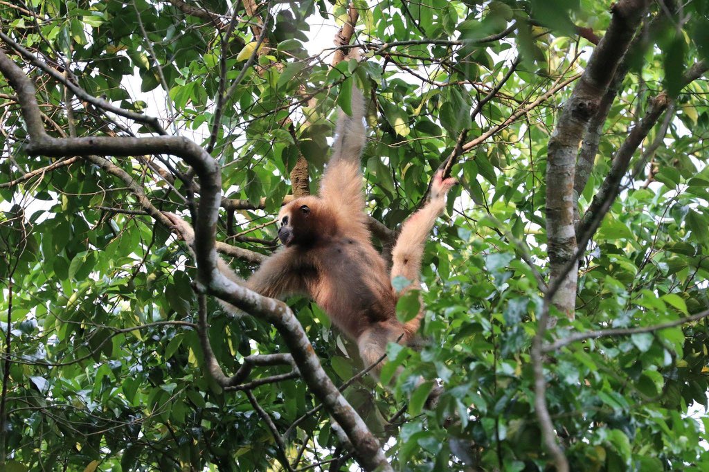 HURO Programme tweet media