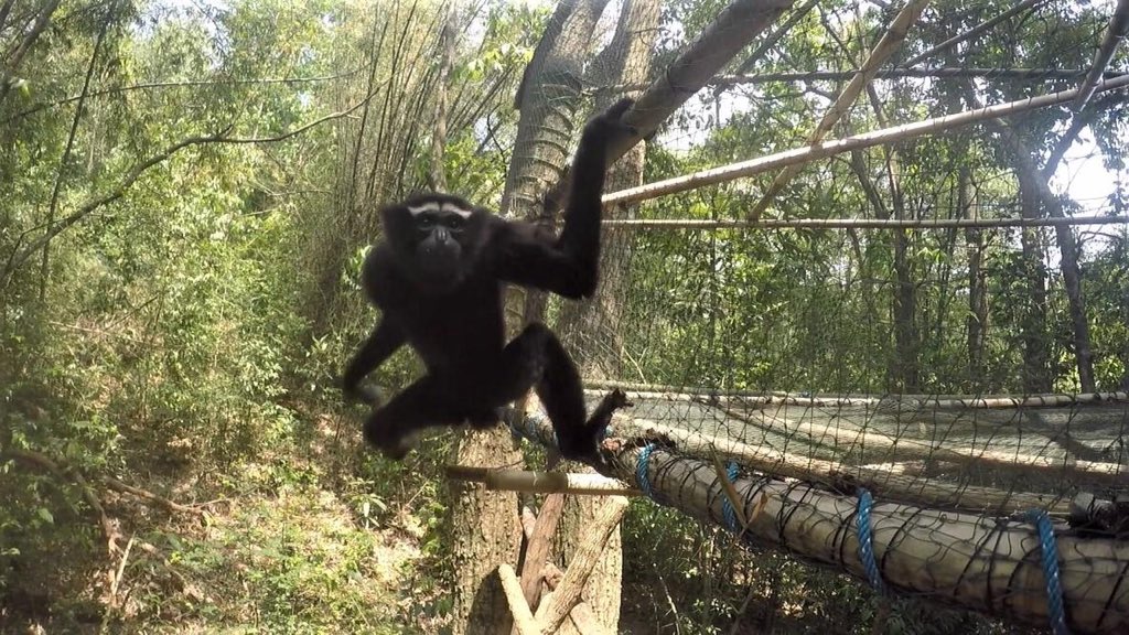 HURO Programme tweet media