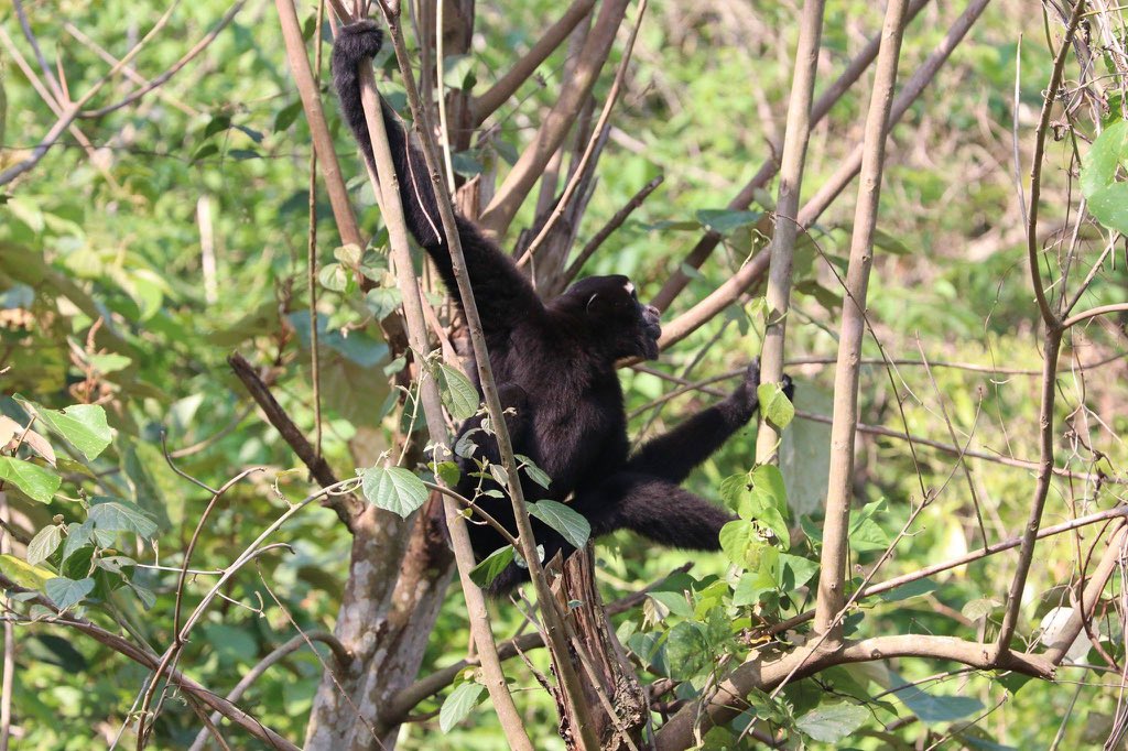 HURO Programme tweet media